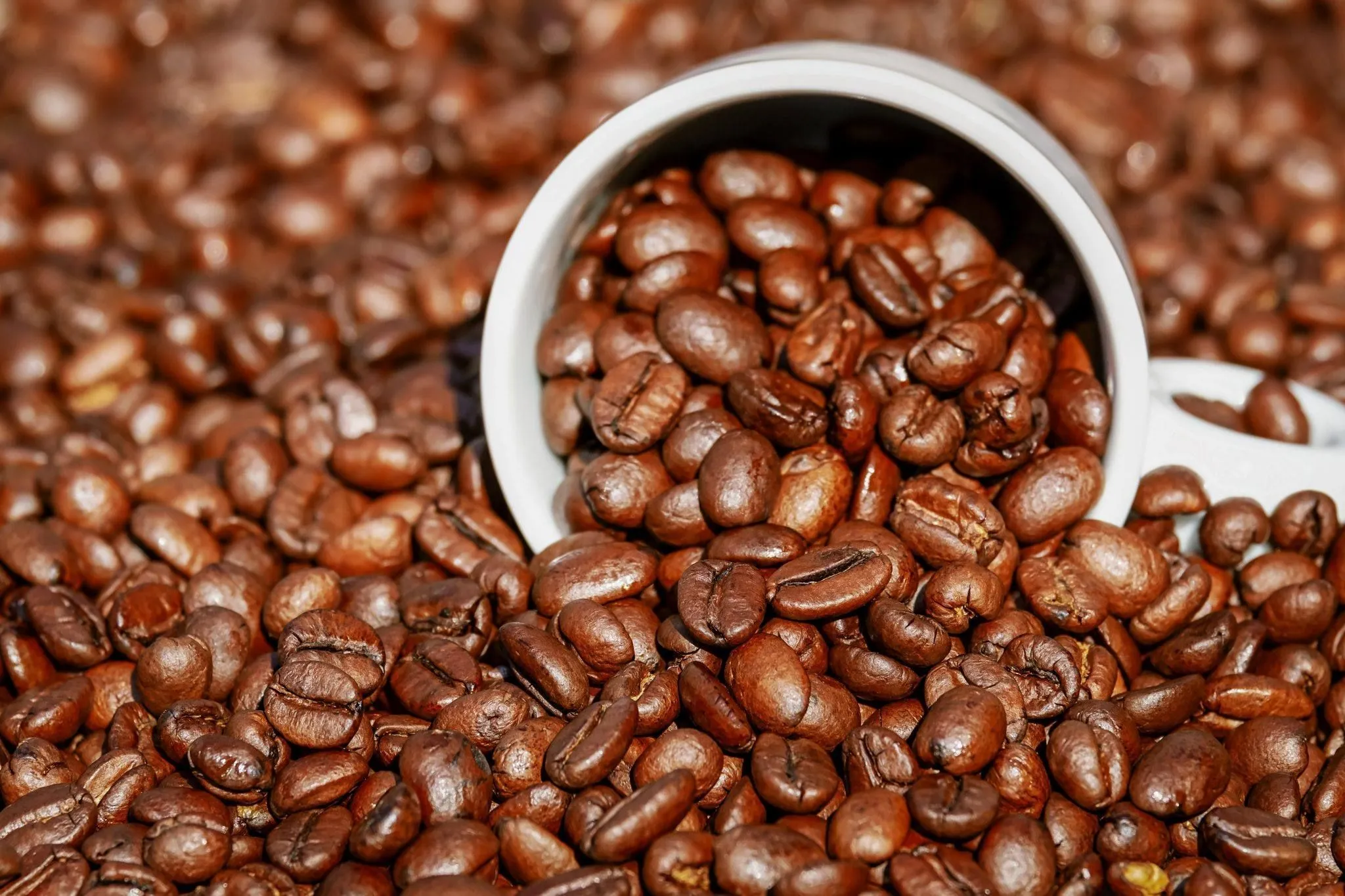 Café brasileiro segue "insubstituível" nos EUA após fim do tarifaço, diz associação americana
