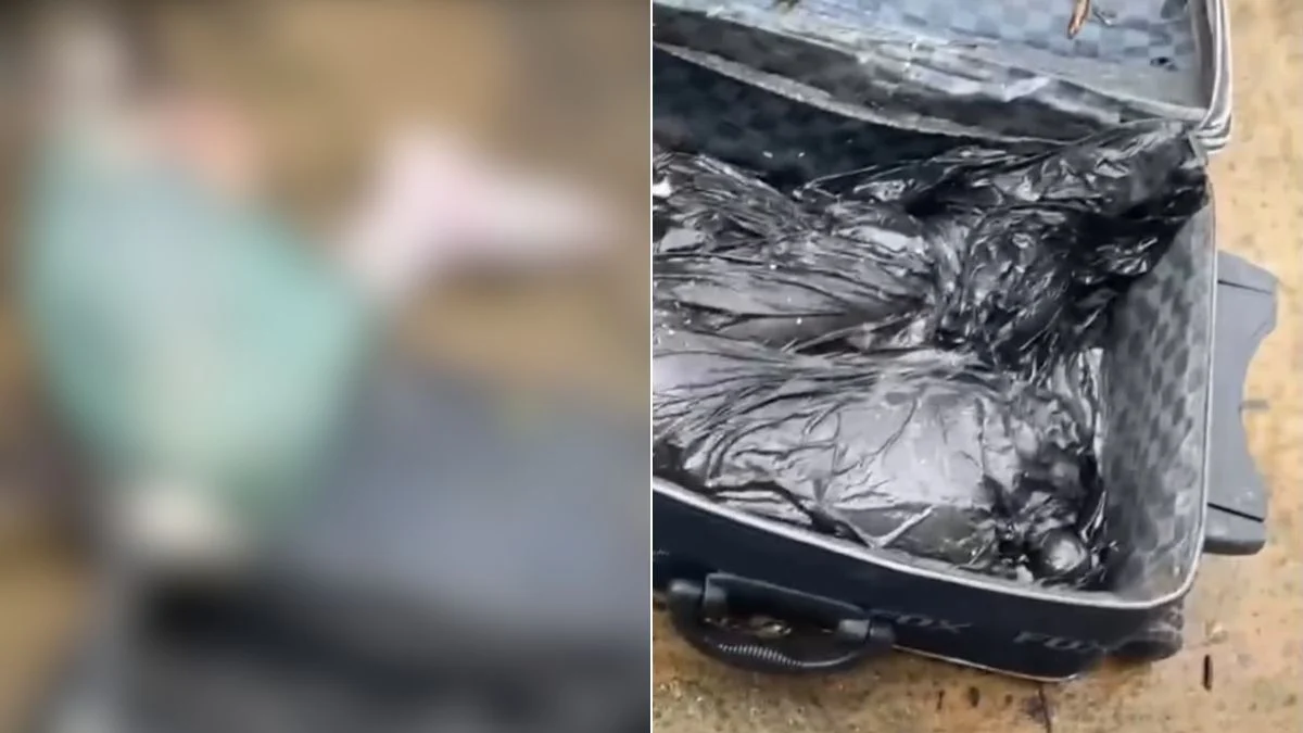 Mala com partes de corpo humano é encontrada em marina de São Vicente (SP)