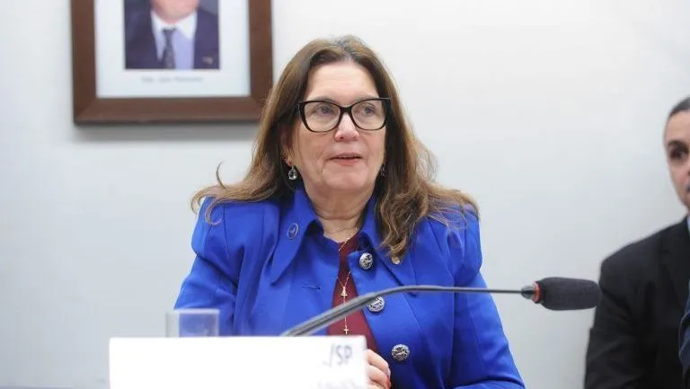Dino manda TRE apurar suposta propaganda disfarçada da deputada Bia Kicis