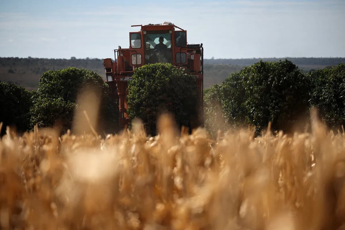 Tarifaço dos EUA atinge 36,5% das exportações do agro brasileiro, diz CNA