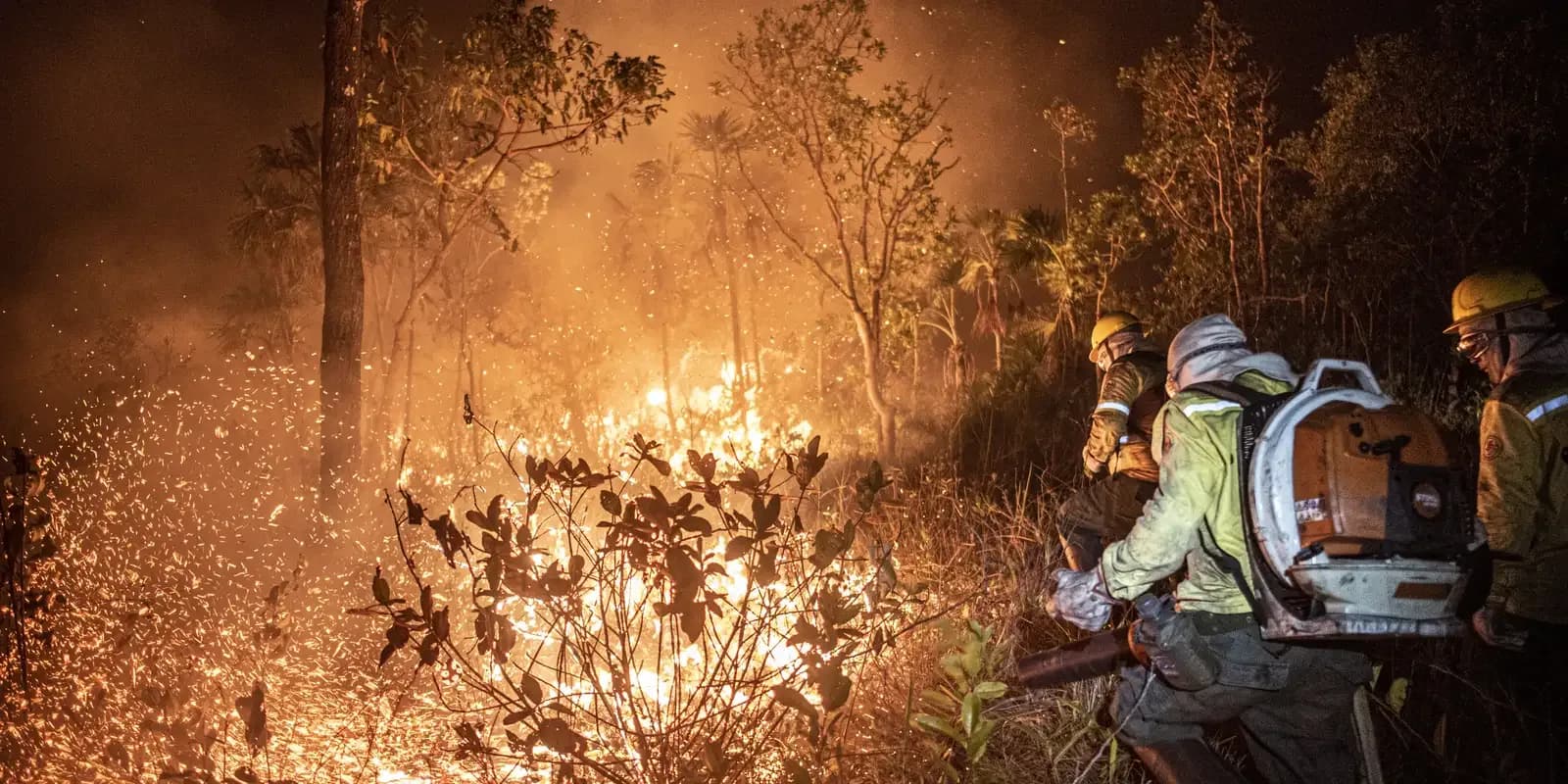 Incêndios no Amazonas sobem 271% em outubro e governo declara emergência em 36 cidades
