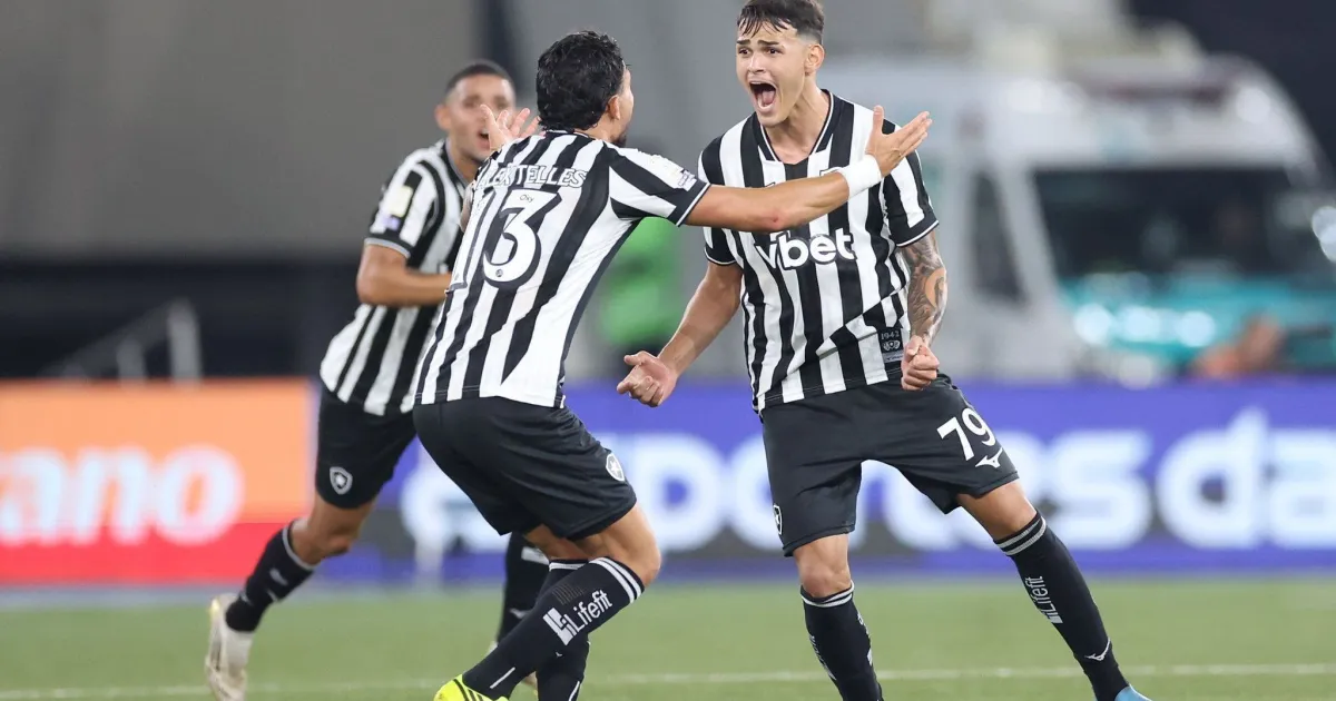 Botafogo vence Santos e Vitória bate Vasco na volta do Brasileirão